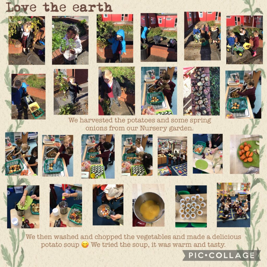 Harvest and making soup