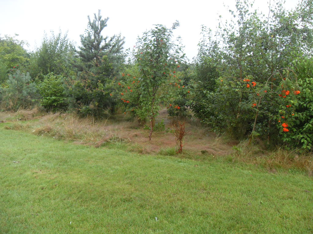 VLUU L200 / Samsung L200