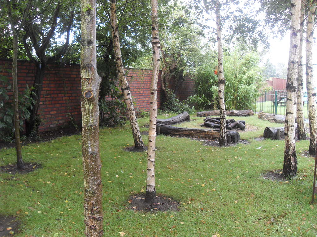 VLUU L200 / Samsung L200